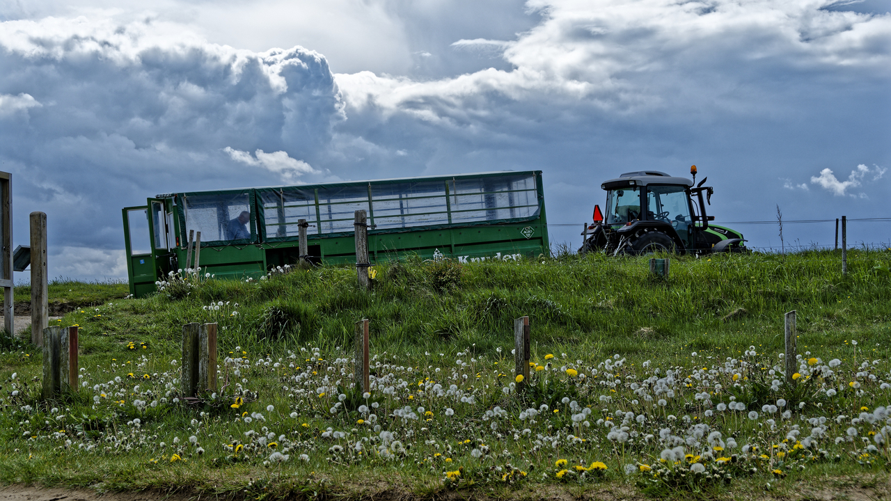 20220525 134251~Lønstrup~North Jutland~Denmark